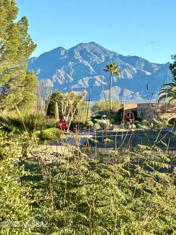 1571 W Calle De Plata, Green Valley, AZ 85622