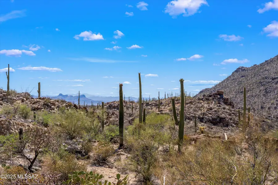 13960 N Jims Deadend, Marana, AZ 85658 - Image #3