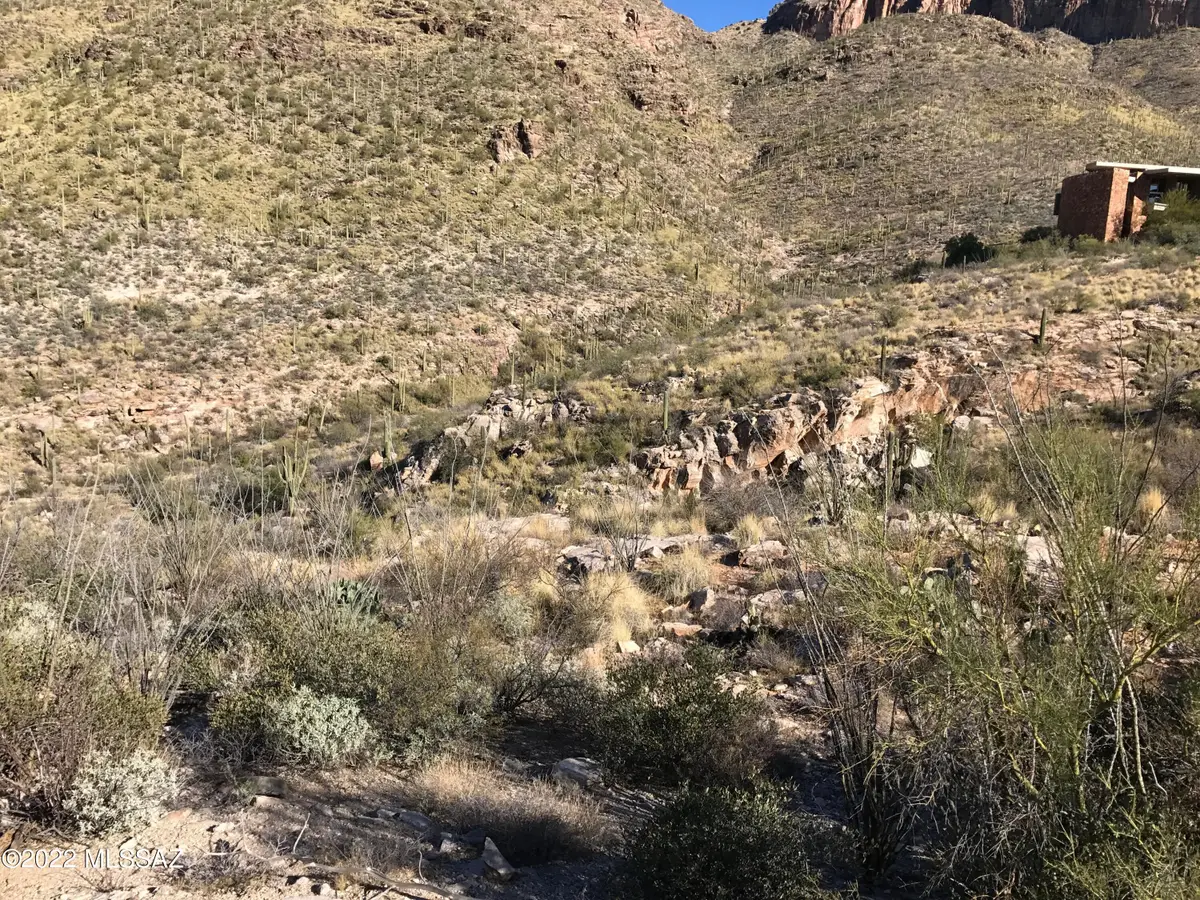 7490 N Catalina Ridge, Tucson, AZ 85718 - Image #1