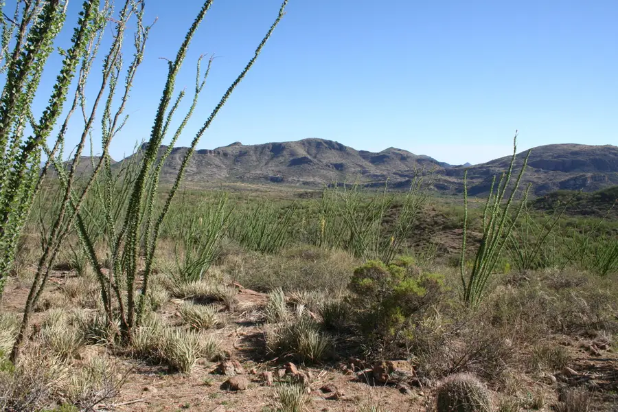 37 Copper Canyon, Tumacacori, AZ 85640 - Image #3