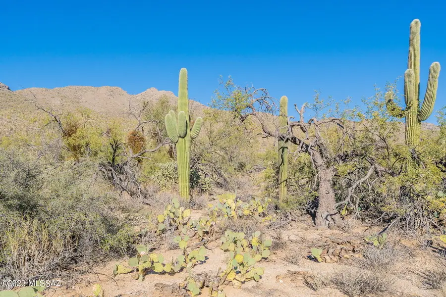 0000 N Melpomene, Tucson, AZ 85749 - Image #2