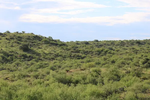 XXXX CB S Mt Lemmon, Oracle, AZ 85623