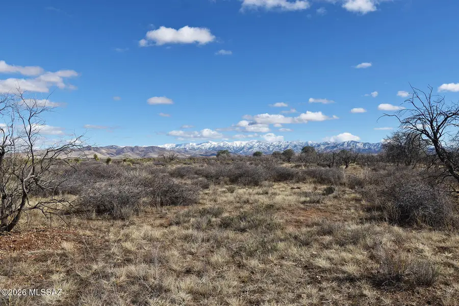 7.54 AC S Catclaw, Pearce, AZ 85625 - Image #2