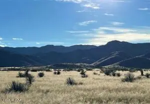 TBD Newland St. Vacant Parcel, Pearce, AZ 85625 - Image #2