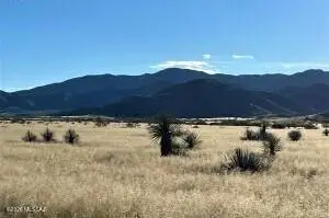 TBD Newland St. Vacant Parcel, Pearce, AZ 85625 - Image #3