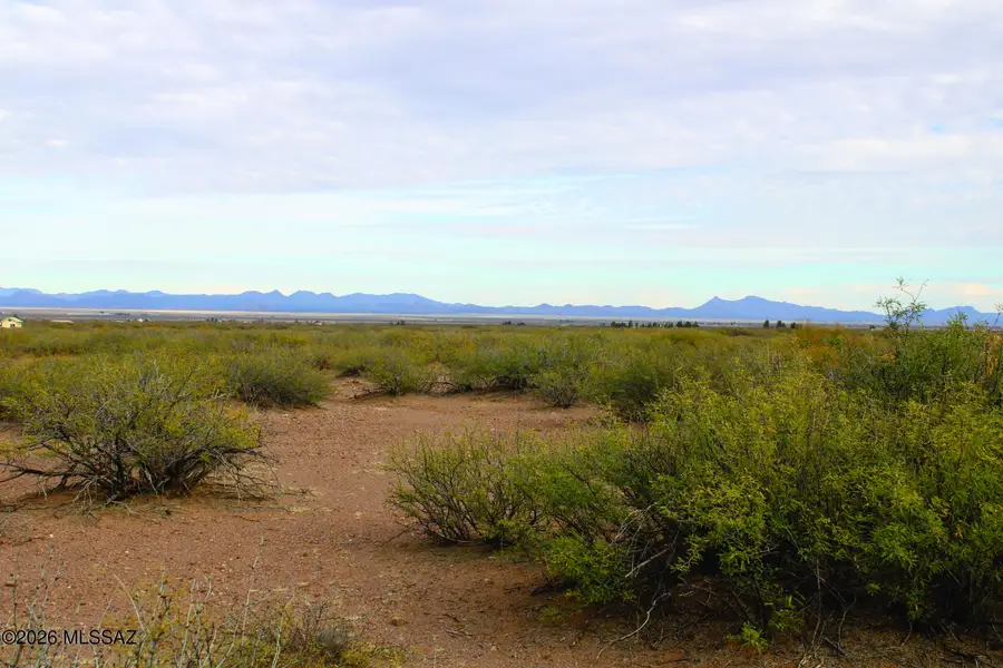 4.45 Acres W Calle De Amigos, Mc Neal, AZ 85617 - #3