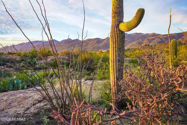 12650 E Roger, Tucson, AZ 85749