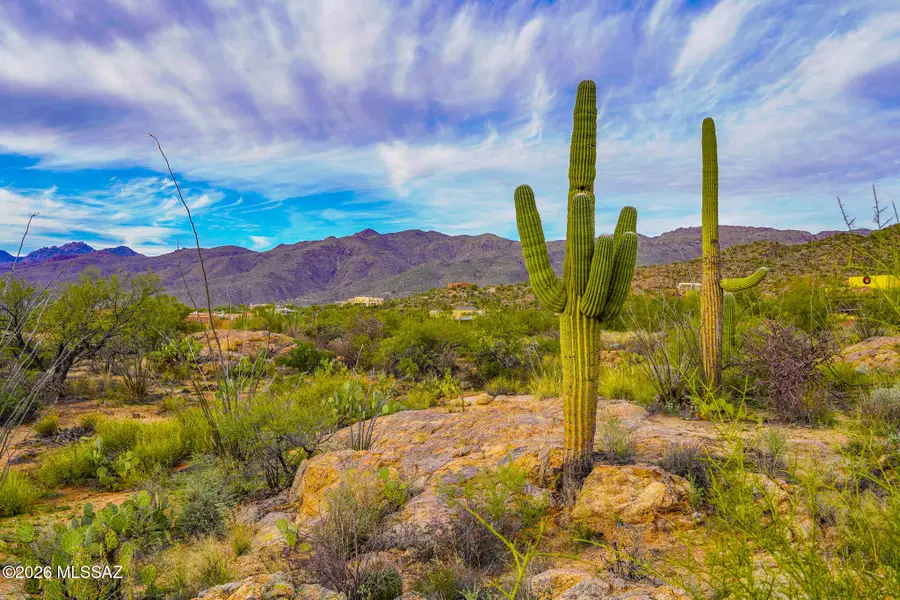 12650 E Roger, Tucson, AZ 85749 - Image #3