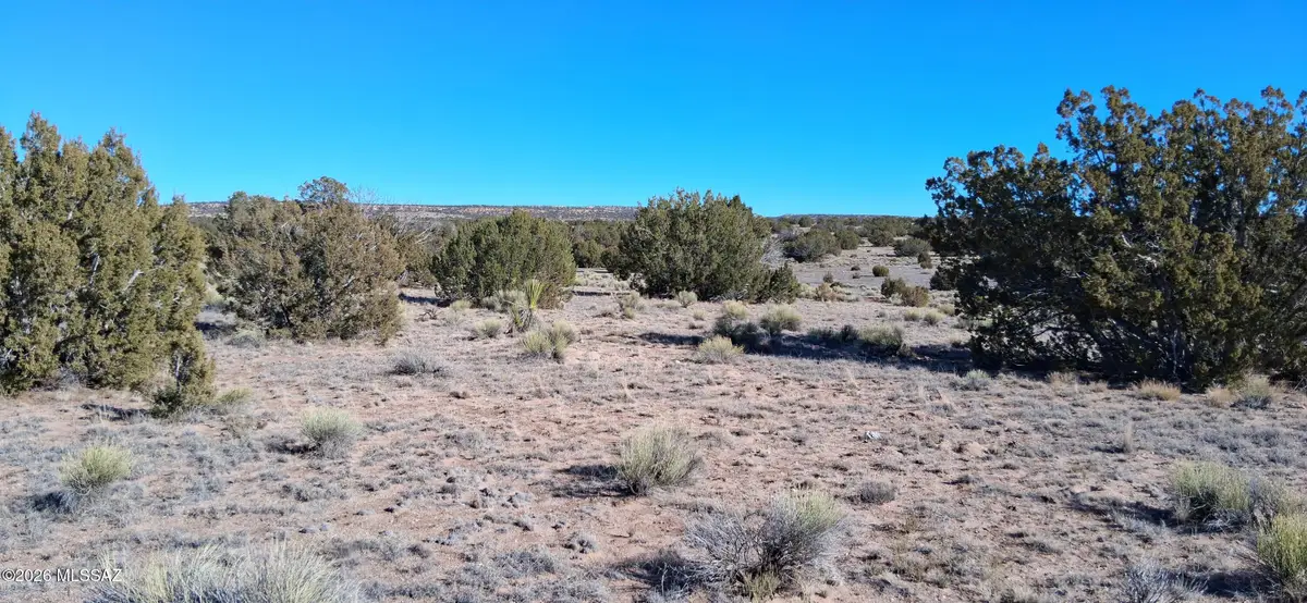 38 Acres 24 County Rd N6578, Saint Johns, AZ 85936 - Image #1