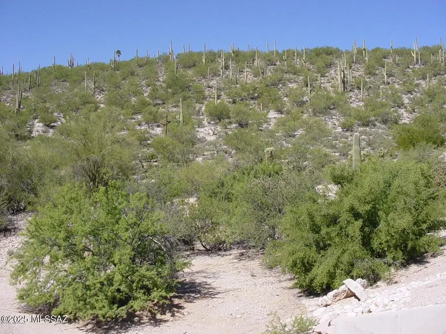 4143 N Lindstrom, Tucson, AZ 85750 - Image #3