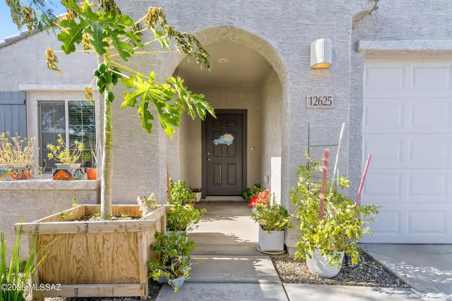 12625 N Wildrose, Marana, AZ 85653 - #3