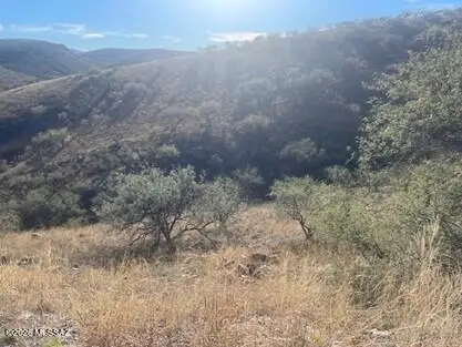 797 Avenida Gaona, Rio Rico, AZ 85648 - Image #3