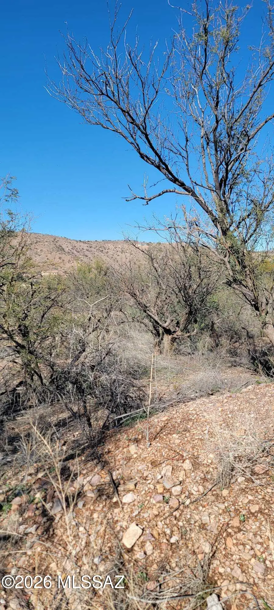 1376 San Blas, Rio Rico, AZ 85648 - Image #1