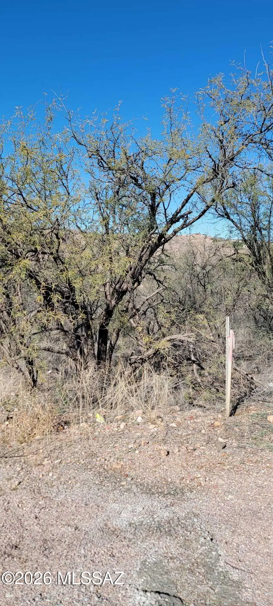 1376 San Blas, Rio Rico, AZ 85648 - Image #2