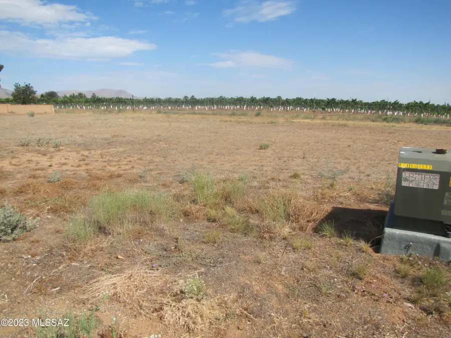 TBD E Christmas Tree, Pearce, AZ 85625 - #2