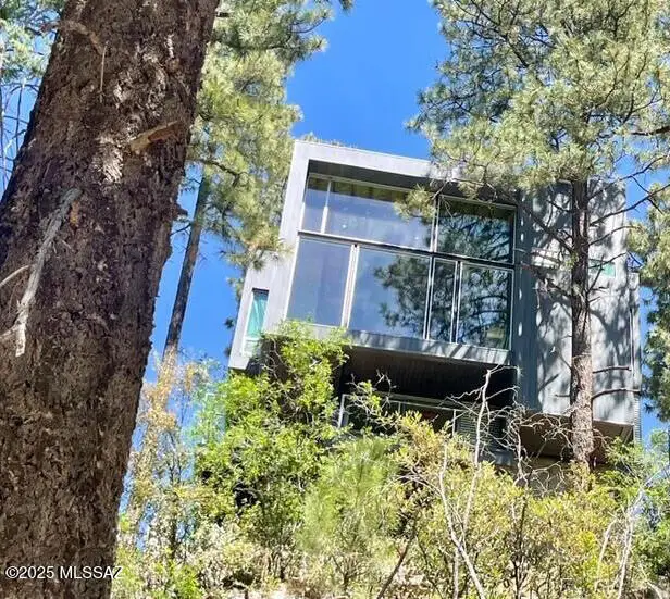 12625 N Ray, Mount Lemmon, AZ 85619 - #3