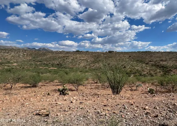 1854 Camino China, Rio Rico, AZ 85648