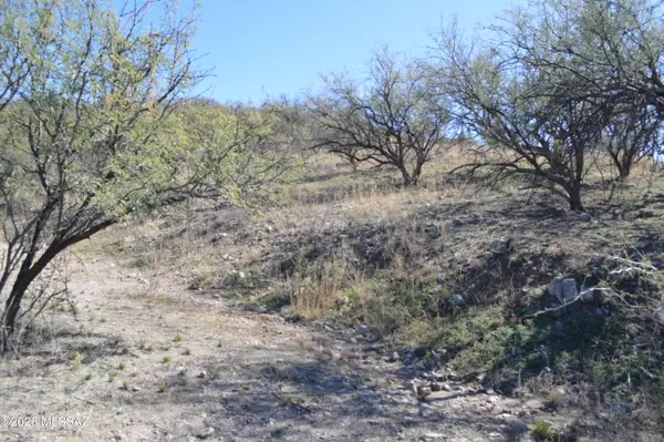 989 Bird, Rio Rico, AZ 85648