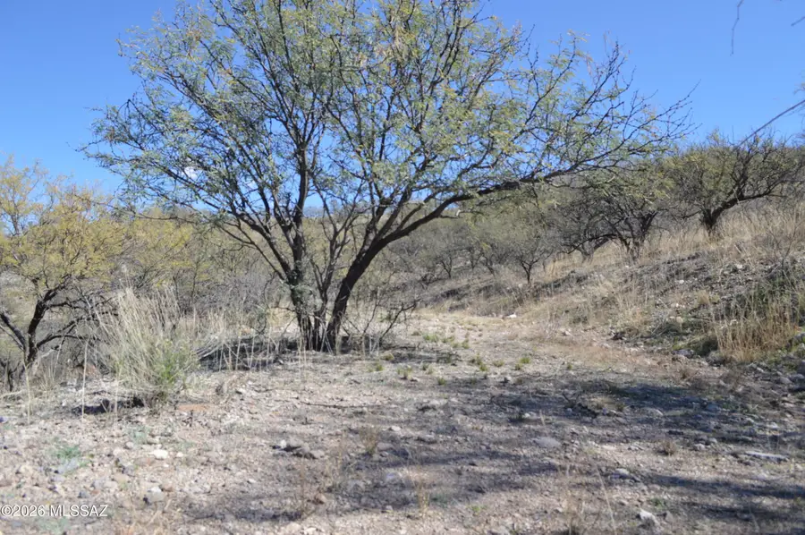 989 Bird, Rio Rico, AZ 85648 - Image #2