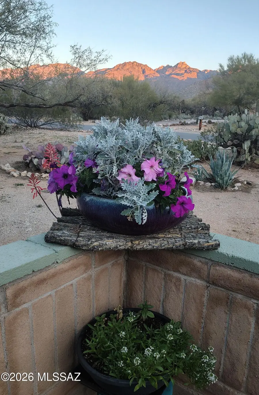 9302 E Placita Mimosa, Tucson, AZ 85749 - #3