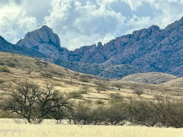 TBD 10 Acr S Cochise Stronghold, Pearce, AZ 85625