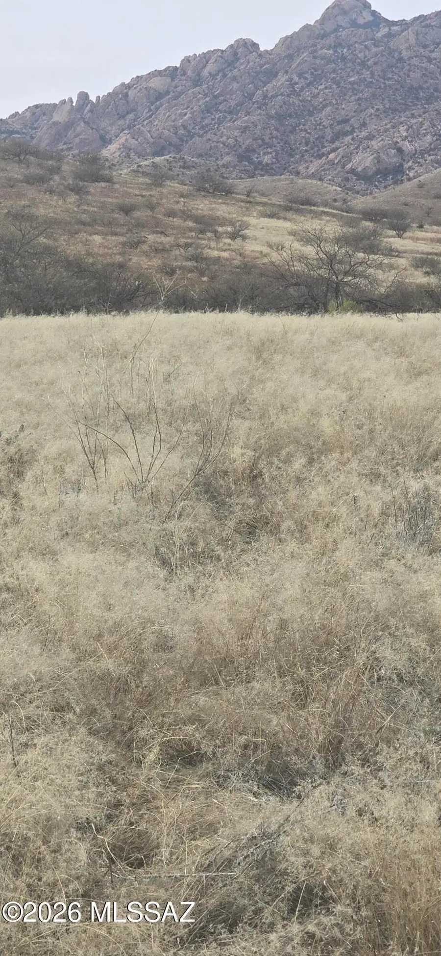TBD 10 Acr S Cochise Stronghold, Pearce, AZ 85625 - #3