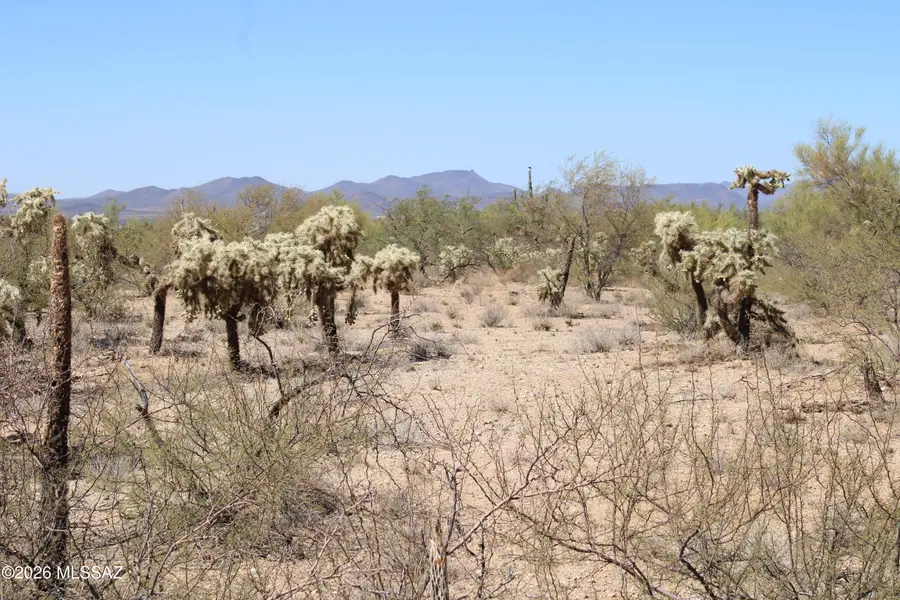 14223 S Shaw, Tucson, AZ 85736 - #3