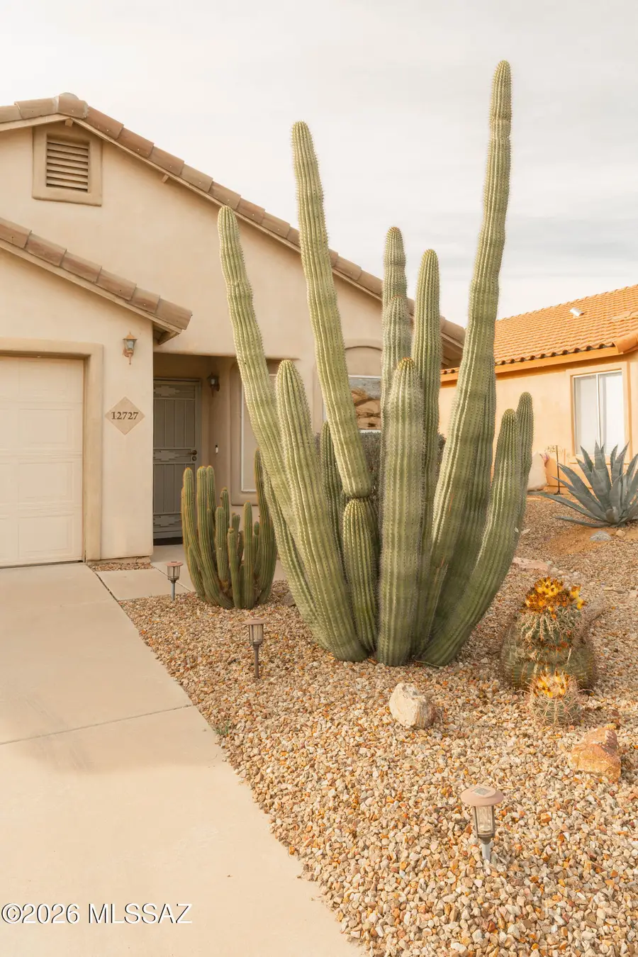 12727 N Blue Sage, Marana, AZ 85658 - #3