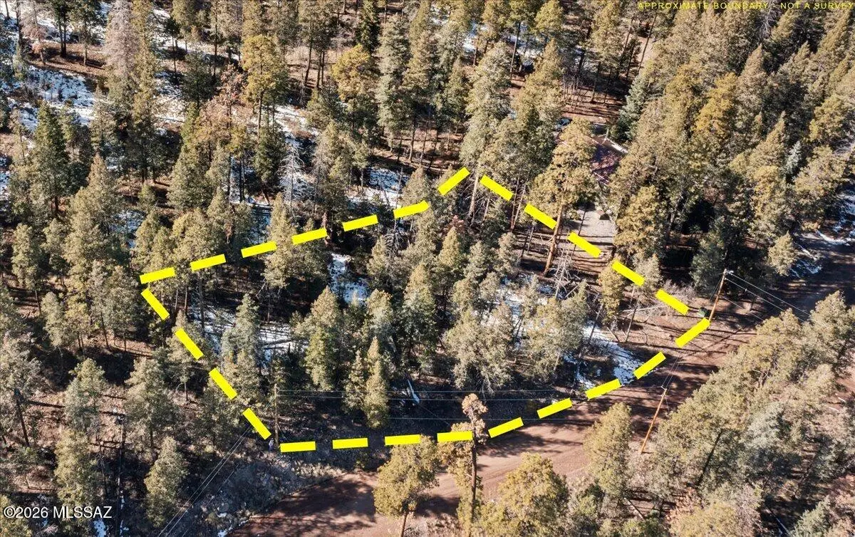 9 County Rd 2073, Alpine, AZ 85920 - #1