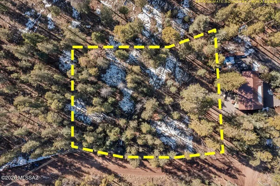 9 County Rd 2073, Alpine, AZ 85920 - #2