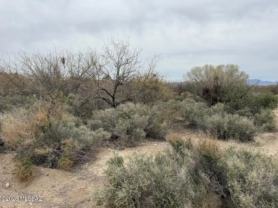 TBA W Saddle Horn, Safford, AZ 85546 - #3