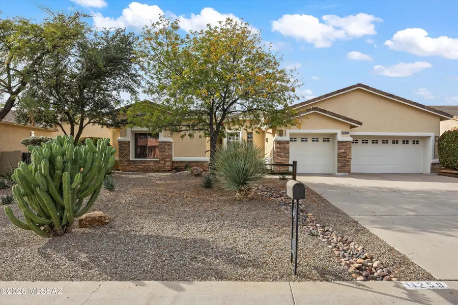 11259 N Mountain Breeze, Tucson, AZ 85737 - #2