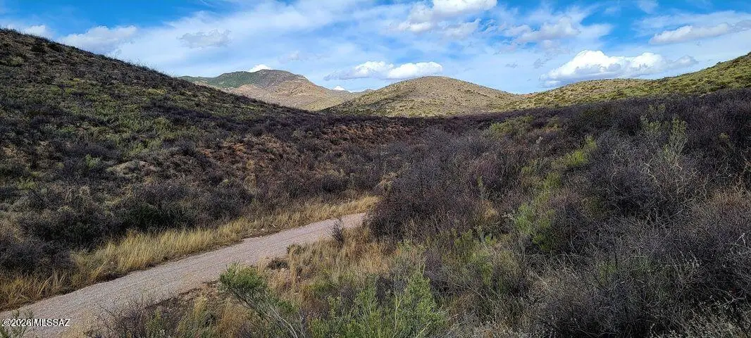 Lot 9 W Red Mountain, Bisbee, AZ 85603 - #1