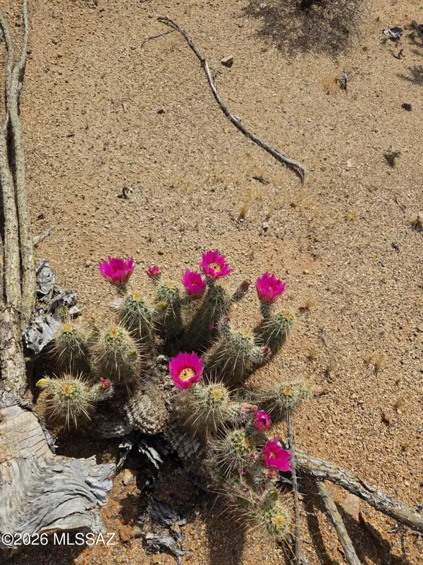 000 E Holt East, Marana, AZ 85658