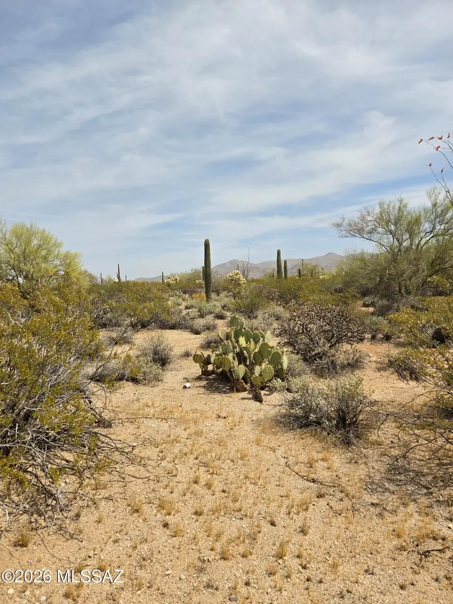 000 E Holt East, Marana, AZ 85658 - #3