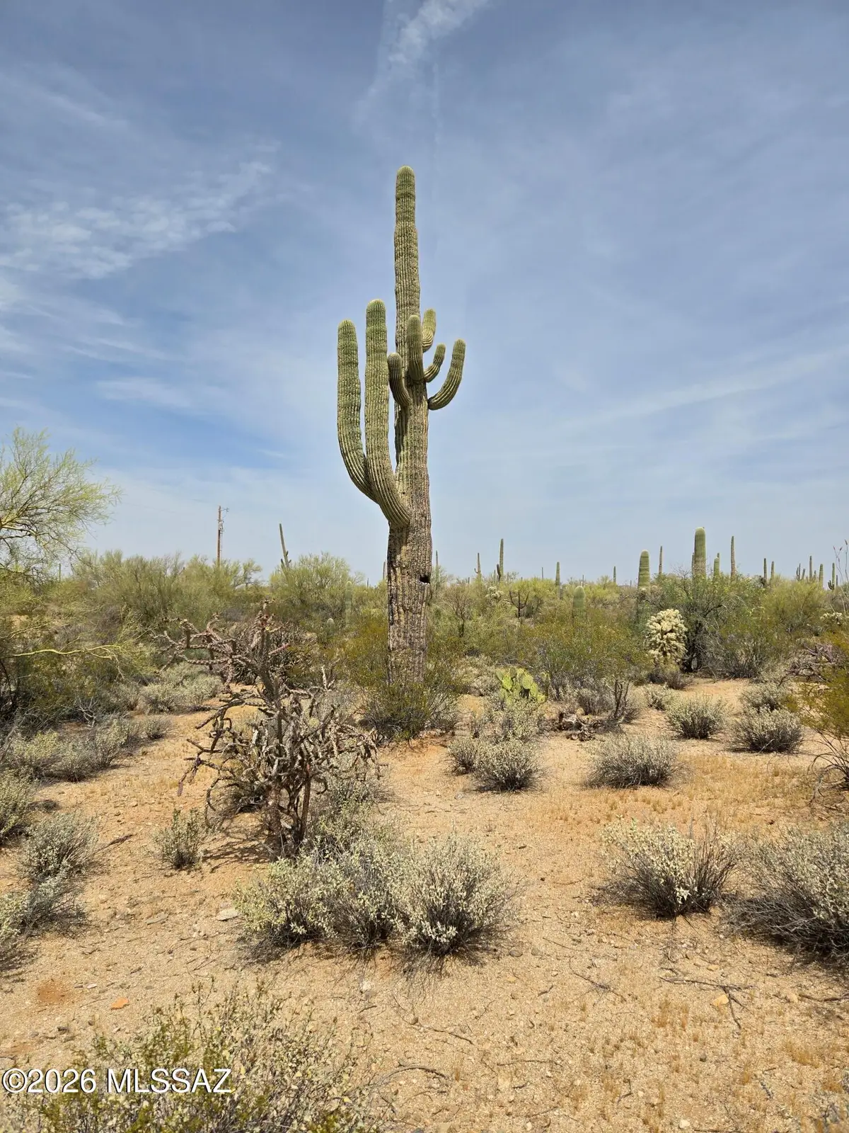 304-07-004 E Holt, Marana, AZ 85658 - #1