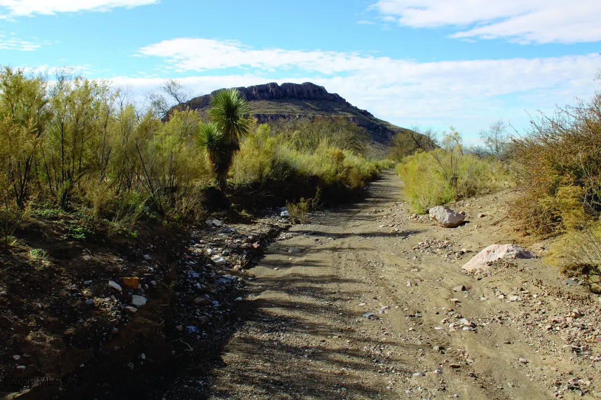 20 Acres E Pebble, Douglas, AZ 85607 - #1