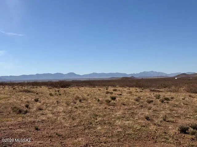 VL Dougherty, Pearce, AZ 85625 - #3