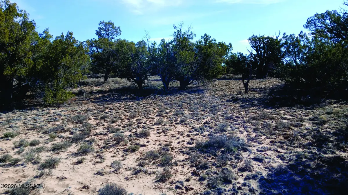 8.98 Acres N7407, Sanders, AZ 86512 - #1