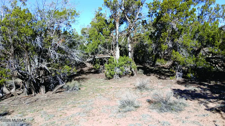 8.98 Acres N7407, Sanders, AZ 86512 - #2
