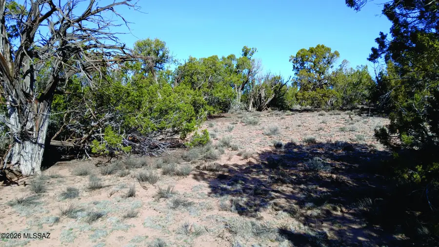 8.98 Acres N7407, Sanders, AZ 86512 - #3