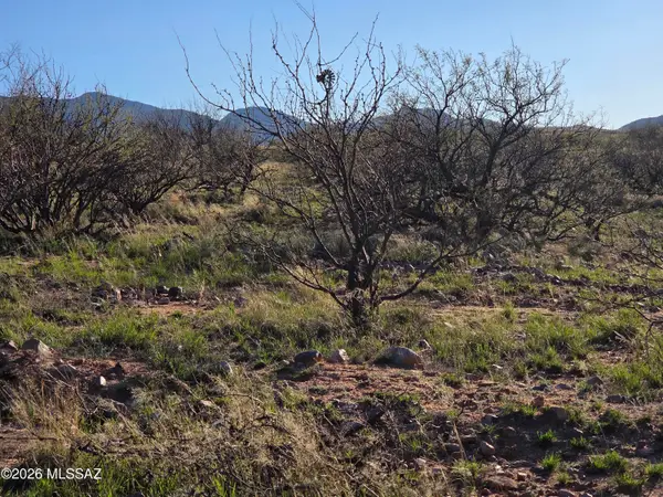 W Canary Springs Road, Benson, AZ 85602