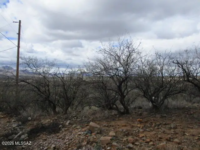 1752 Circulo Badajada, Rio Rico, AZ 85648 - #3