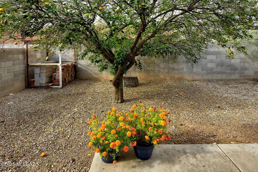 1661&1663 N Catalina, Tucson, AZ 85712 - #3