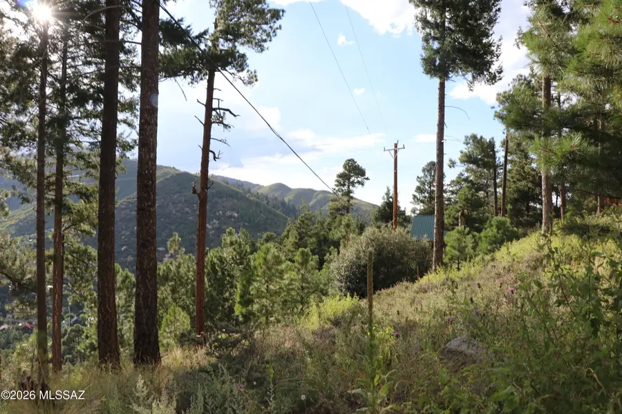 12718 N Upper Loma Linda, Mount Lemmon, AZ 85619 - #2