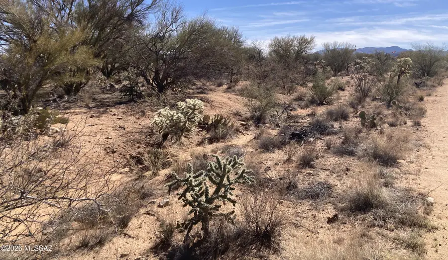 16286 W Renner, Tucson, AZ 85736 - #2