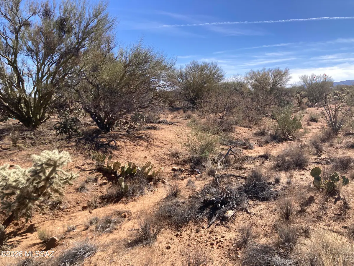 16310 W Renner, Tucson, AZ 85736 - #1