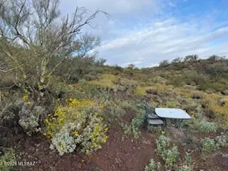 11409A E Calle Catalina, Tucson, AZ 85748 - #1