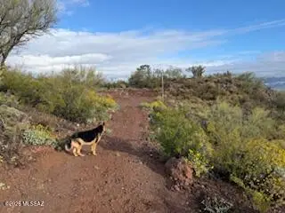 11409A E Calle Catalina, Tucson, AZ 85748 - #3