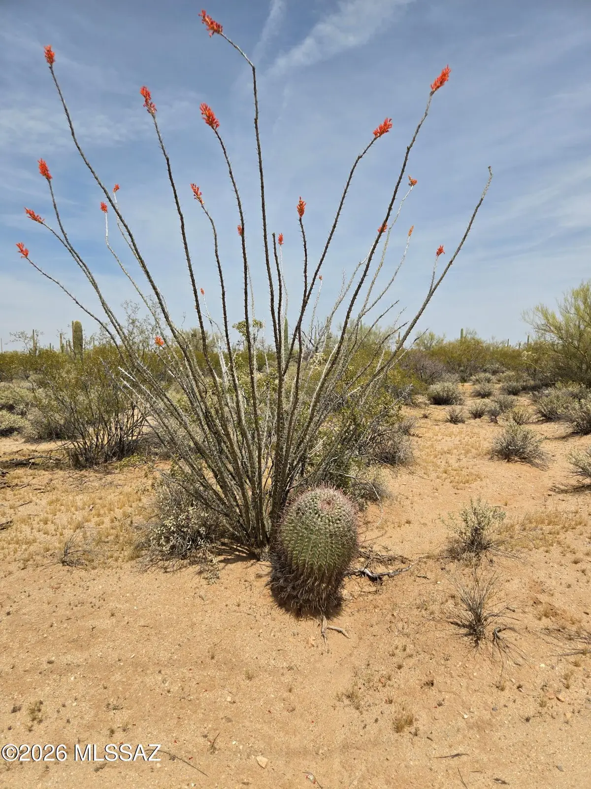 30407004H E Holt, Marana, AZ 85658 - #1